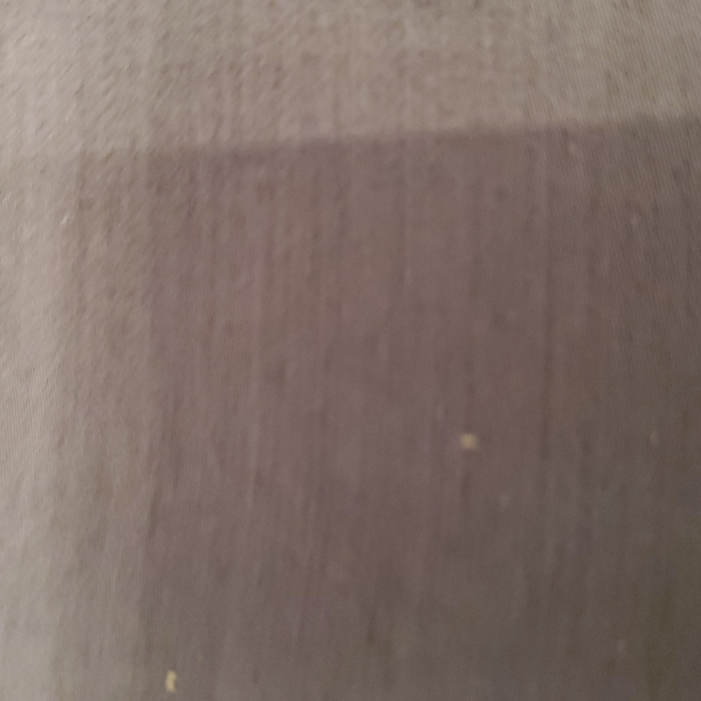 Meet your Posher, Monika